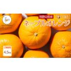 ふるさと納税 みかん・柑橘類 和歌山県 海南市 家庭用 森本農園の手選別ネーブルオレンジ 4.5kg 和歌山県産 サイズ混合 ［北海道・沖縄・離島配送不可］［RN17…