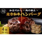牛肉 ハンバーグ 加古川~肉の極み~志方和牛ハンバーグ《志…