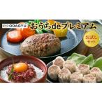 ふるさと納税 牛肉 ハンバーグ 鹿児島県 南九州市 小田牛の「おうちdeプレミアム」お試し セット 1186114