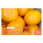 果物類 みかん 先行受付 2027年2月中旬~発送