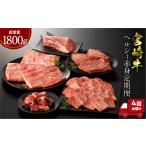牛肉 ステーキ 宮崎牛 ヘルシー赤身定期便