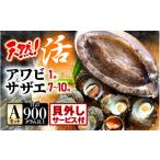 ふるさと納税 サザエ 福井県 美浜町 期間限定 天然 活アワビ & 活サザエ セットA(貝はずしサービス付き) 入手困難 産地直送 刺身 お造り おせち バター焼き …