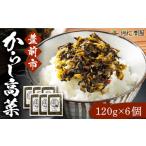 加工品等 漬物 からし高菜 120g×6個