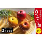りんご 定期便3回 旬を味わうりんご飴 味比べセット