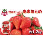 ふるさと納税 いちご 愛媛県 宇和島市 いちご 甘み たっぷり あまおとめ 1.2kg ( 300g × 4パック ) 西田農園 先行予約 甘い あまい 苺 イチゴ ストロベリー …