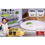菓子 ヨーグルト 球磨の恵み 砂糖不使用 2kg