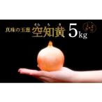 野菜類 玉ねぎ 真珠の玉葱 空知黄 5kg