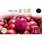 野菜類 玉ねぎ 真珠の玉葱 ルージュ Lサイズ 10玉