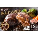 肉 ハンバーグ 定期便6ヶ月 100%白老合挽ハンバーグ150g×12