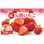 ふるさと納税 いちご 大阪府 泉佐野市 先行予約 朝摘み 完熟いちご 2パック 化粧箱入り 苺 無添加 自然素材 フルーツ イチゴ 高評価 数量限定