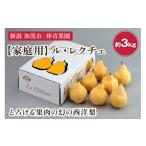 ふるさと納税 梨 新潟県 加茂市 2025年先行予約 家庭用 西洋梨 ル・レクチェ 約3kg(7〜10玉) 《11月下旬以降発送》 幻の西洋梨 果実 フルーツ 冬の味覚 加…