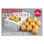 ふるさと納税 梨 新潟県 加茂市 2025年先行予約 家庭用 西洋梨 ル・レクチェ 約4kg(9〜12玉) 《11月下旬以降発送》 幻の西洋梨 果実 フルーツ 冬の味覚 加…