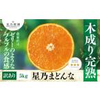 ふるさと納税 みかん・柑橘類 愛媛県 八幡浜市 三つ星ブランド 星乃みかん園の星乃まどんな(5kg) 訳あり D45-62 1339328