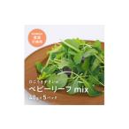 セット 詰合せ 933 葉が柔らかくて 味が濃い