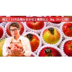 米崎りんご 3kg