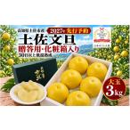 土佐文旦 用化粧箱 3kg