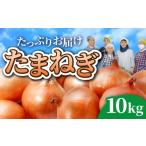 ふるさと納税 野菜類 玉ねぎ 岩手県 金ケ崎町 玉ねぎ 10kg 先行予約 ( M〜L サイズ不揃い 28個程度) 訳あり 新鮮 生食 常温 令和7年7月〜9月発送|ふるさと納…