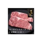 牛肉 サーロイン 全10回定期便 A5~4等級