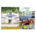 イベントやチケット等 公営 飯盛霊園 合葬墓