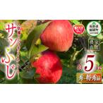 ふるさと納税 りんご 長野県 飯綱町 りんご 葉とらず サンふじ 秀 〜 特秀 5kg フレッシュフルーツミカズキ 2025年11月下旬頃から2026年1月下旬頃まで順次発送…