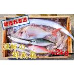 旬の鮮魚等 漁師の鮮魚箱 約2kg