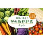 セット 詰合せ 全6回定期便 農家が選ぶ 旬の新鮮野菜セット