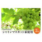 ふるさと納税 ぶどう マスカット 山形県 河北町  令和8年産 ご家庭用シャインマスカット 2kg（2〜4房） 山形県河北町産 JAさがえ西村山 　ka008-017e-r8