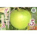 ふるさと納税 りんご 長野県 飯綱町 りんご グラニースミス 家庭用 5kg 丸西農園 沖縄県配送不可 2025年11月中旬頃から2026年1月上旬頃まで順次発送予定 令和7…