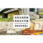 入場券 優待券 世田谷美術館および世田谷文学館の企画展