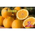 ふるさと納税 みかん�