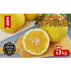 ふるさと納税 みかん�