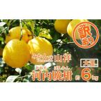 ふるさと納税 みかん�