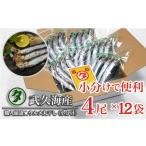 干物 イワシ 職人厳選 ウルメ丸干し小分け 4尾×12袋