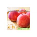 ふるさと納税 もも 山形県 山形市 山形市産 白桃 柔らかくなる桃 秀品 約3kg (6玉〜13玉) 令和7年産先行予約 FU23-573 くだもの 果物 フルーツ 山形 山形県 山…