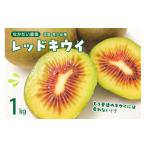 みかん 柑橘類 先行受付 2026年9月下旬~発送