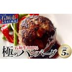 ふるさと納税 牛肉 ハンバーグ 沖縄県 石垣市 石垣牛 100% 極めハンバーグ 150g×5個 肉職人が作ったこだわりハンバーグ 石垣牛 沖縄県 石垣市 石垣島 牛肉 牛…