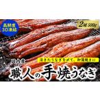 ショッピングうなぎ 蒲焼き 国内産 送料無料 ふるさと納税 兵庫県 新温泉町 職人の手焼き　活〆うなぎ蒲焼　2尾入り(計500g)　国産【1423346】