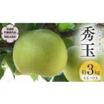 ふるさと納税 梨 茨城県 桜川市 2025年9月上旬発送開始 茨城県産 『幻の 梨 』 秀玉 約 3kg 6玉 〜 9玉 茨城県共通返礼品/常陸太田市 桧山果樹園 農家直送 …