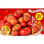 野菜類 トマト 令和8年熊本地震復興支援