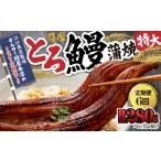 うなぎ 2173-1 全6回定期便 江口商店監修
