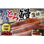 うなぎ 2174-1 全6回定期便 江口商店監修