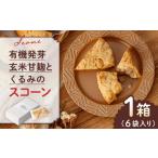 焼菓子 チョコレート 有機発芽玄米甘麹とくるみのスコーン