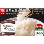 米 コシヒカリ 6か月定期便 農家直送のパックごはん