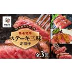 牛肉 サーロイン 定期便 ステーキ三昧 全3回