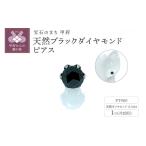 アクセサリー ピアス 甲府ジュエリー 〉Pt900