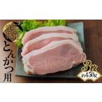 豚肉 ロース FKP9-496 一勝地赤豚