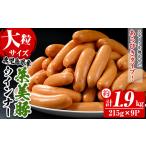 肉 ソーセージ 大粒 ウインナー 詰合せ 約1.9kg