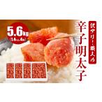 魚貝類 明太子 訳アリ 職人の辛子明太子 5.6kg
