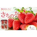 ふるさと納税 いちご 徳島県 徳島市 魔法のいちご さちのか (1パック270g以上×4パック) いちご 苺 果物 くだもの フルーツ スイーツ ケーキ 旬 新鮮 人気 お…