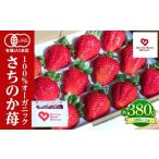 ふるさと納税 いちご 徳島県 徳島市 とくしまオーガニックいちご 大粒12〜15粒（約380g）１箱｜いちご 果物 フルーツ 苺 人気 無農薬 期間限定 人気 ギフト プ…